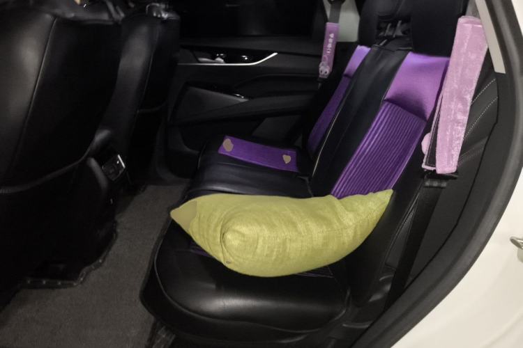 Used SAIC MAXUS D60 2019 1.5T Automatic Trend Edition 5 Seats Left Rear Seat