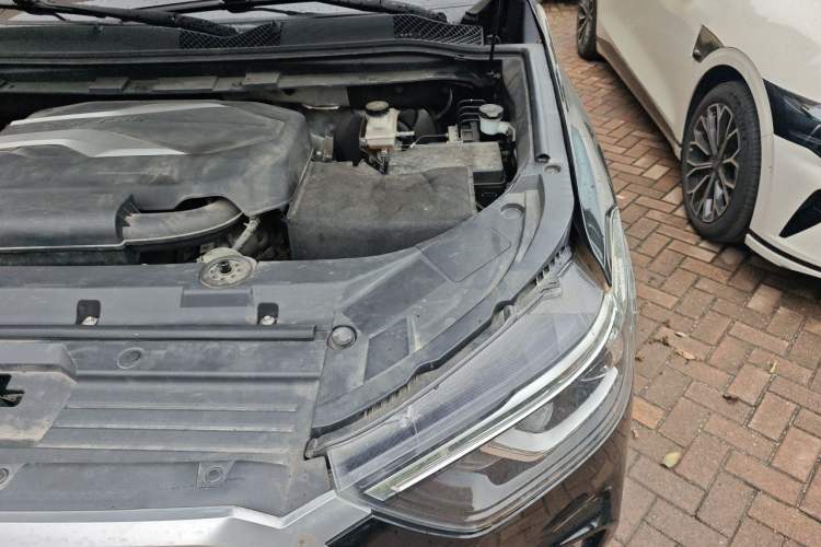 Used SAIC MAXUS D90 2017 2.0T Automatic Two-Wheel Drive - Uranus Engine Bay Left