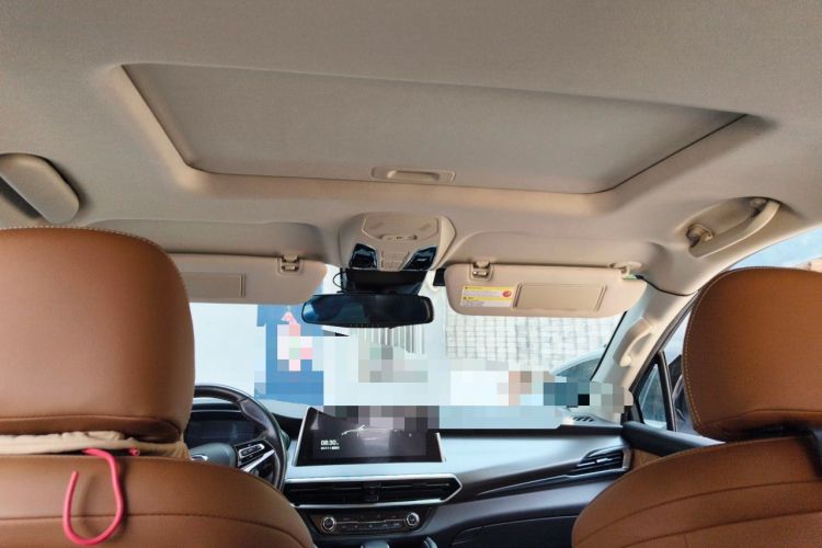 Used SAIC MAXUS D90  Headliner