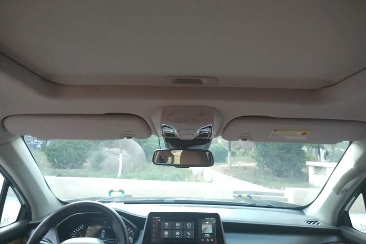Used SAIC MAXUS D90  Headliner