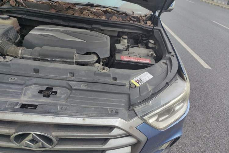 Used SAIC MAXUS D90 2017 2.0T Automatic Two-Wheel Drive - Uranus Engine Bay Left