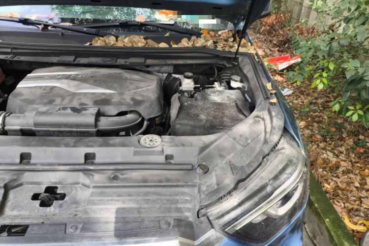 Used SAIC MAXUS D90  Engine Bay Left