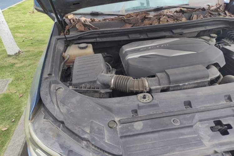 Used SAIC MAXUS D90 2017 2.0T Automatic Two-Wheel Drive - Uranus Engine Bay Right