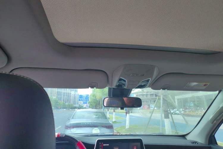 Used SAIC MAXUS D90 2017 2.0T Automatic Two-Wheel Drive - Uranus Headliner