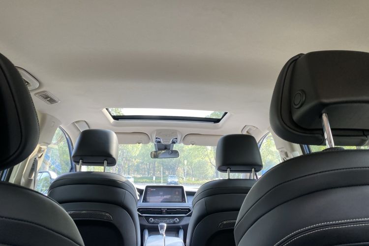 Used SAIC MAXUS D90  Headliner