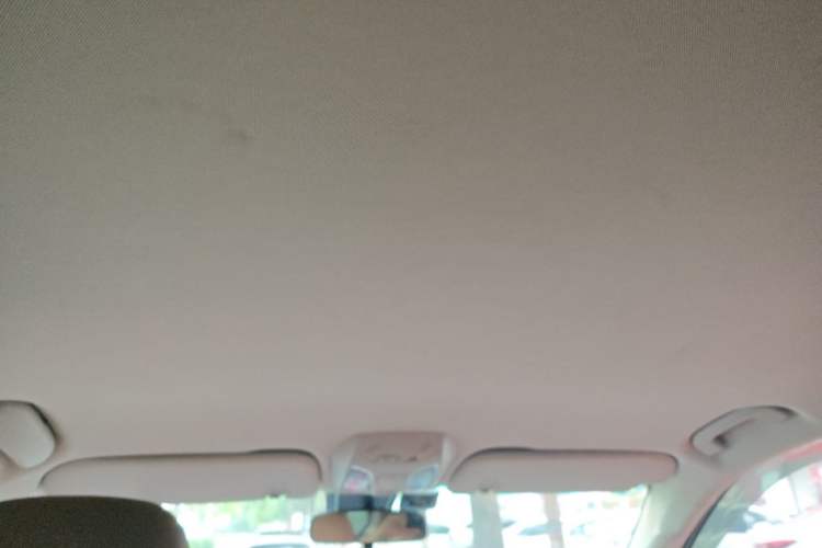 Used SAIC MAXUS D90  Headliner