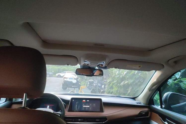 Used SAIC MAXUS D90  Headliner