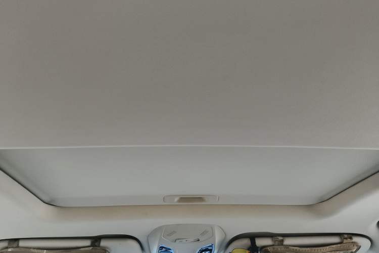 Used SAIC MAXUS D90 2017 2.0T Manual Two-Wheel Drive Mars Base Edition Headliner
