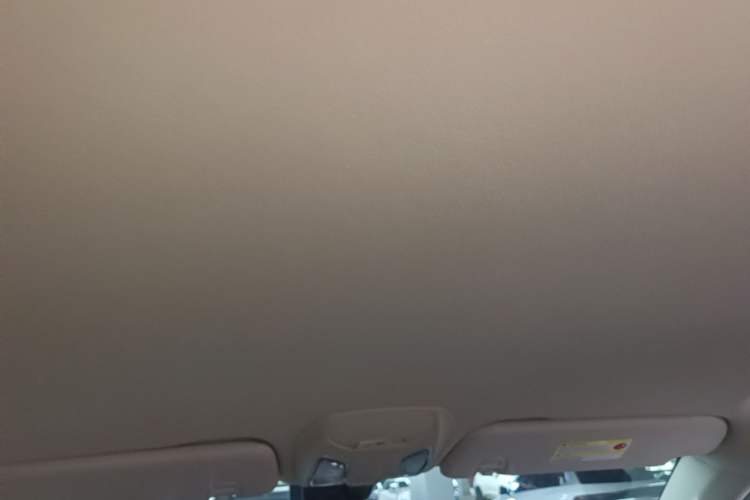 Used SAIC MAXUS D90 2017 2.0T Automatic Two-Wheel Drive Mercury Base Edition Headliner