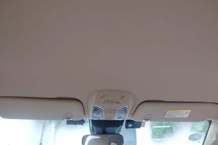 Used SAIC MAXUS D90 2017 2.0T Automatic Two-Wheel Drive - Uranus Headliner