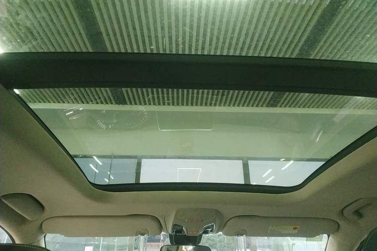 Used SAIC MAXUS D90 2017 2.0T Automatic Two-Wheel Drive - Uranus Headliner