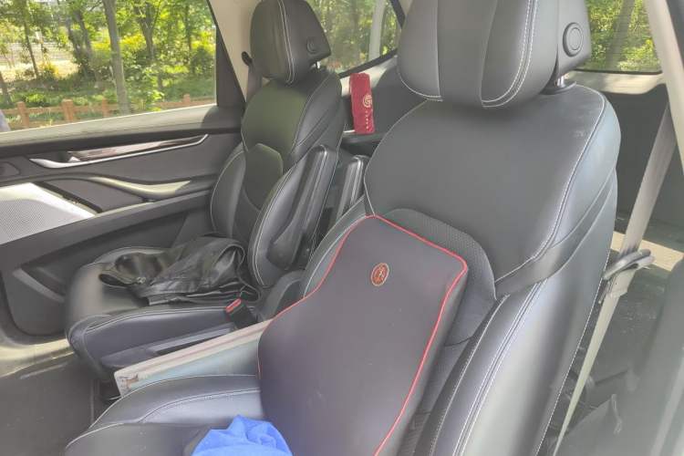 Used SAIC MAXUS D90 2017 2.0T Automatic Two-Wheel Drive Mercury Left Rear Seat