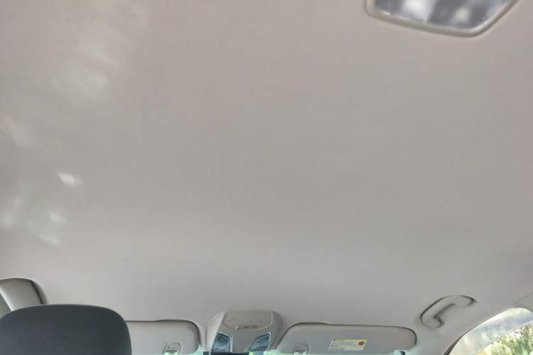 Used SAIC MAXUS D90 2017 2.0T Manual 4x4 Neptune Headliner