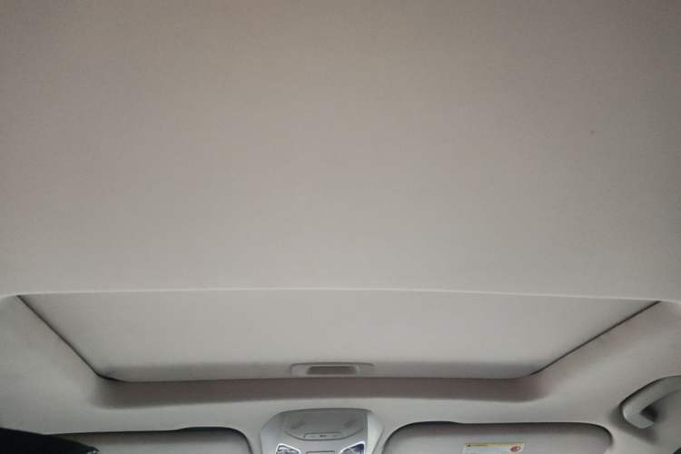 Used SAIC MAXUS D90 2017 2.0T Automatic Two-Wheel Drive - Uranus Headliner