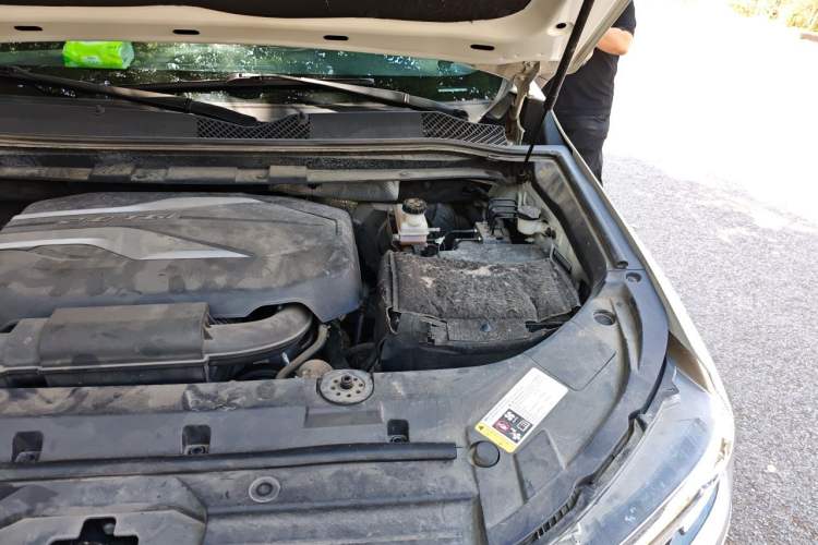 Used SAIC MAXUS D90 2017 2.0T Automatic Two-Wheel Drive - Uranus Engine Bay Left