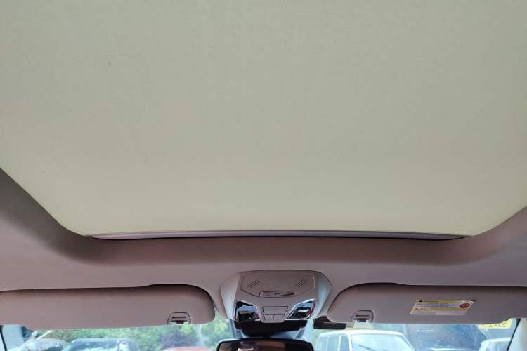 Used SAIC MAXUS D90  Headliner