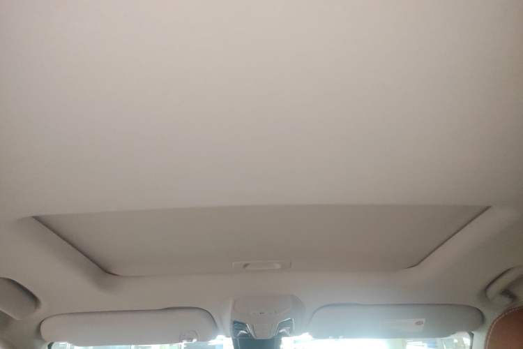Used SAIC MAXUS D90 2017 2.0T Automatic All-Wheel Drive Sirius Headliner