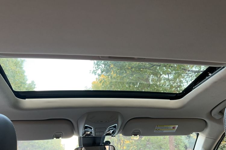 Used SAIC MAXUS D90 2017 2.0T Automatic Two-Wheel Drive - Uranus Headliner