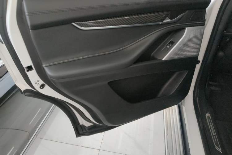 Used SAIC MAXUS D90 2017 2.0T Automatic Two-Wheel Drive - Uranus Left Rear Door Interior