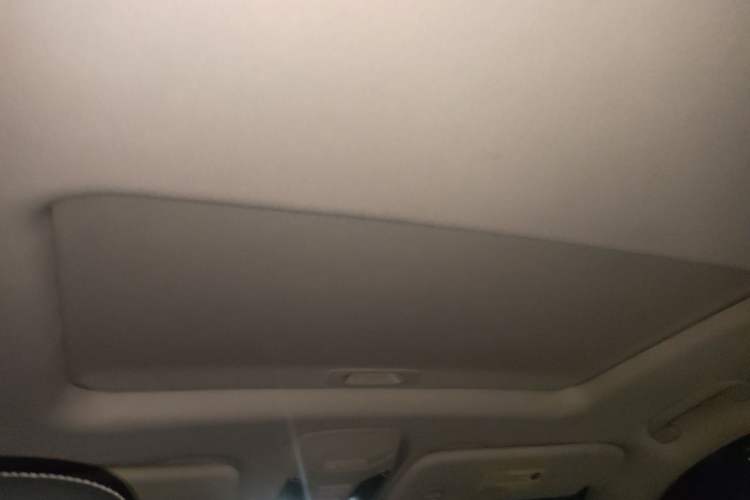 Used SAIC MAXUS D90  Headliner