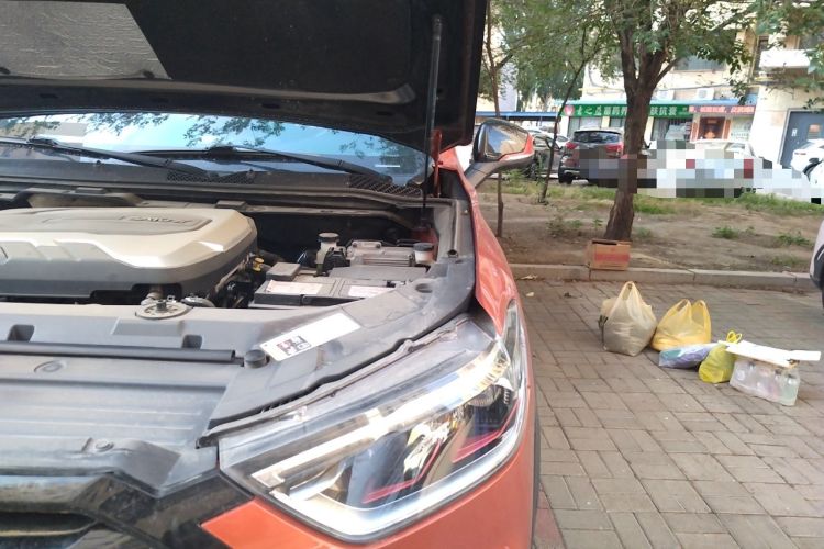 Used SAIC MAXUS D90 Pro 2020 2.0T Diesel 4x4 Alashan Edition 6 Seats Engine Bay Left