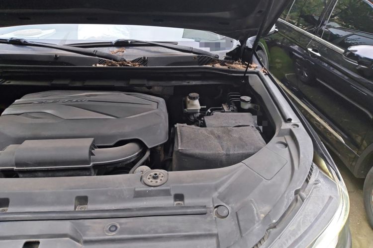 Used SAIC MAXUS D90 Pro 2021 2.0T Gasoline 4x4 Luxury Edition 7-Seater Engine Bay Left