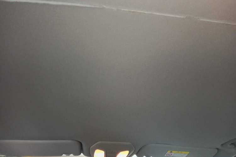 Used SAIC MAXUS Dajia 5 2022 430 km Elite Version 7-Seater Headliner