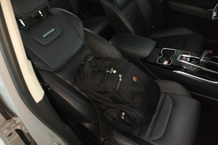 Used SAIC MAXUS Dajia 6 2022 1.3T PLUG-IN Executive Edition Right Front Seat