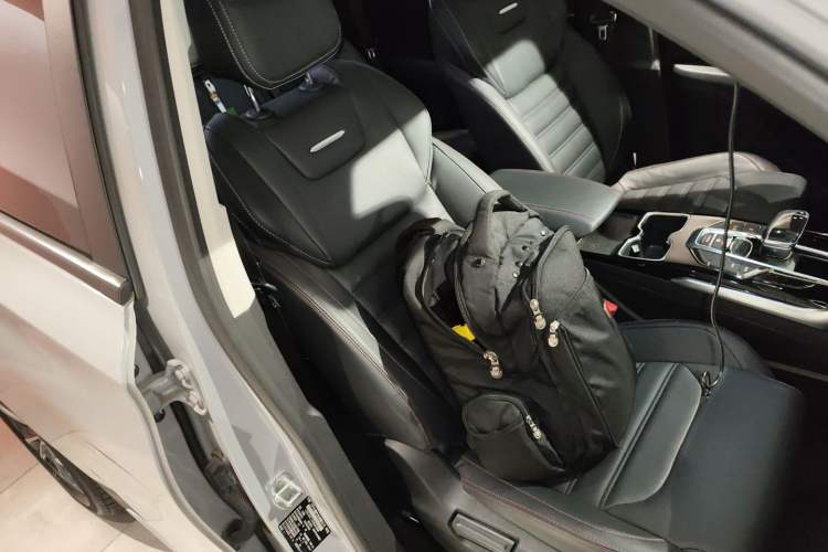 Used SAIC MAXUS Dajia 6 2022 1.3T PLUG-IN Executive Edition Right Front Seat
