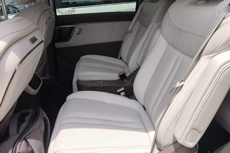 Used SAIC MAXUS Dajia 7 2024 605 km Extended-Range Forest Version Left Rear Seat