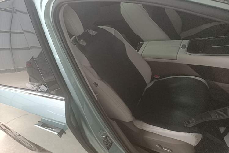 Used SAIC MAXUS Dajia 7 2024 605 km Extended-Range Forest Version Right Front Seat