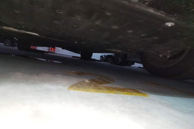 Used SAIC MAXUS Dajia 7 2024 527 km Long-Range Edition for the Prairie Chassis Front
