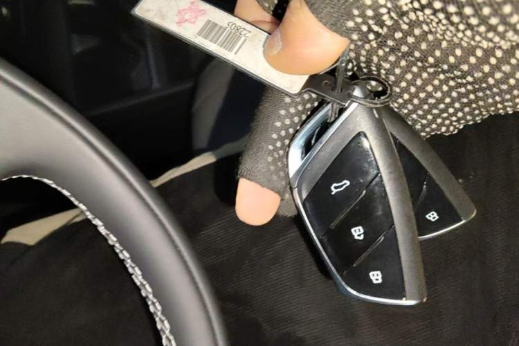 Used SAIC MAXUS Dajia 7 2024 Revised Version Super Hybrid Long-Range Edition Enjoyment Version Interior 1