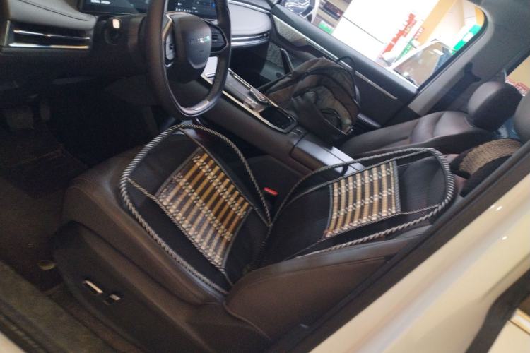 Used SAIC MAXUS Dajia 7 2024 527 km Long-Range Edition for the Prairie Left Front Seat