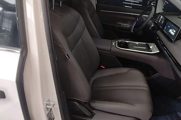 Used SAIC MAXUS Dajia 7 2024 527 km Long-Range Edition for the Prairie Right Front Seat