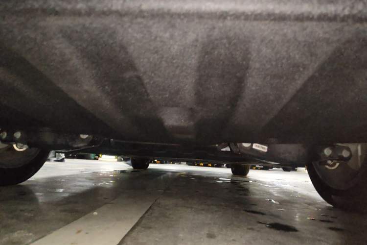 Used SAIC MAXUS Dajia 9 2022 Vast Forest Chassis Rear