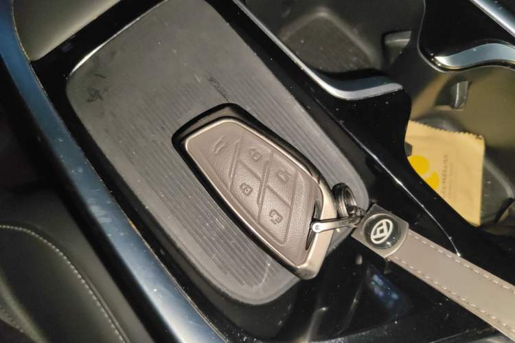 Used SAIC MAXUS Dajia 9 2022 Vast Forest Vehicle Key