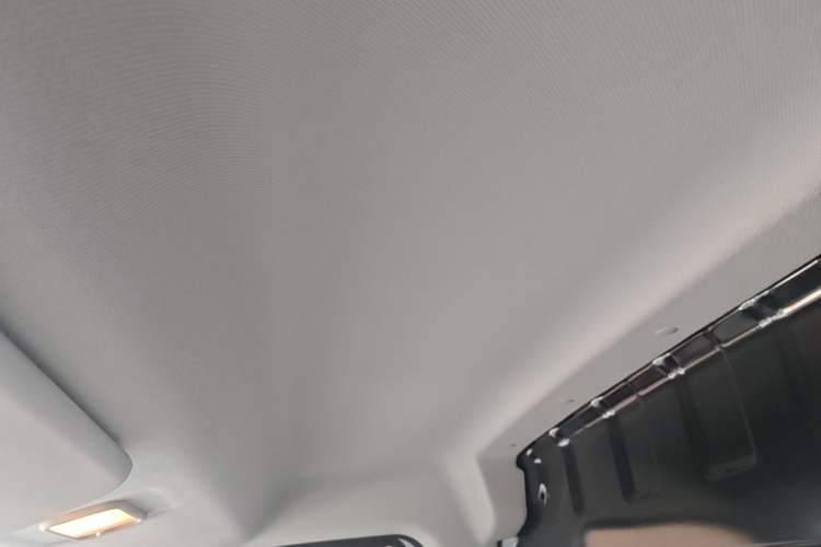 Used SAIC MAXUS Dana V1 2025 Low-Roof Cargo Version 42 kWh Headliner