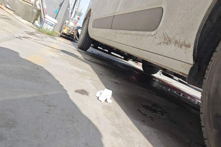 Used SAIC MAXUS Dana V1 2025 V1 Short Wheelbase Low-Roof Multi-Function Version (42 kWh) Right Side Sill