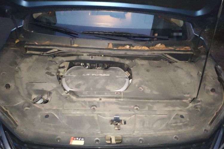 Used SAIC MAXUS EUNIQ 5 2020 1.3T PLUG-IN Elite Edition Engine Bay