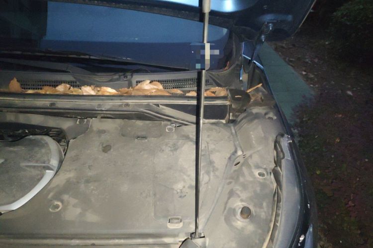 Used SAIC MAXUS EUNIQ 5 2020 1.3T PLUG-IN Elite Edition Engine Bay Left