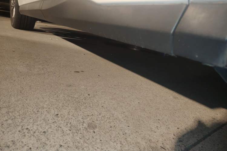 Used SAIC MAXUS EUNIQ 5 2020 1.3T PLUG-IN Luxury Edition Left Side Sill
