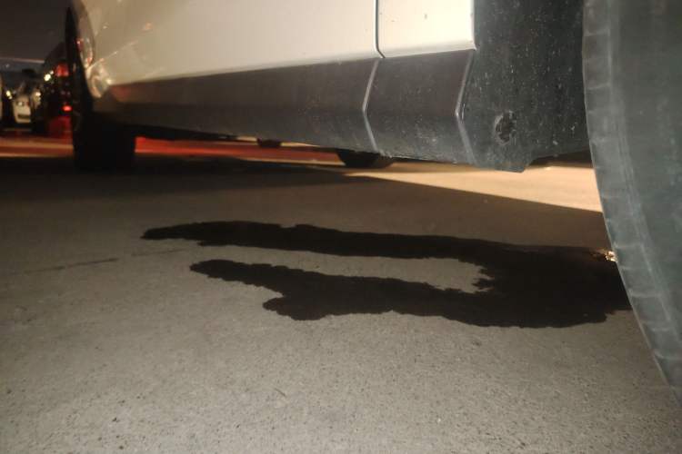 Used SAIC MAXUS EUNIQ 5 2020 1.3T PLUG-IN Luxury Edition Right Side Sill