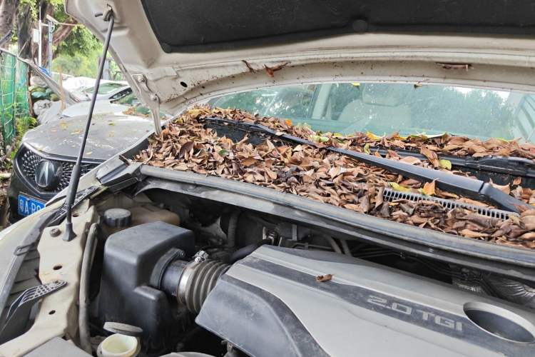 Used SAIC MAXUS G10 2014 2.0T Manual Elite Edition Engine Bay Right