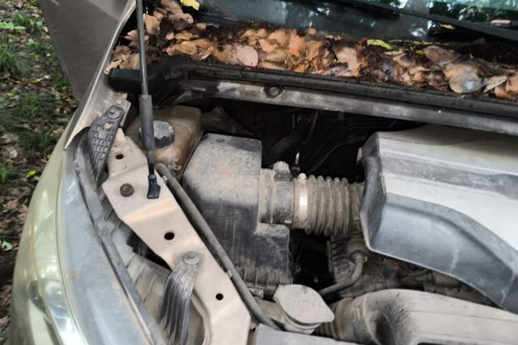 Used SAIC MAXUS G10 2014 2.0T Manual Elite Edition Engine Bay Right