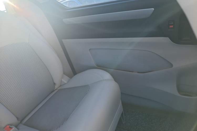 Used SAIC MAXUS G10 2016 2.0T Automatic Elite Edition Left Rear Door Interior