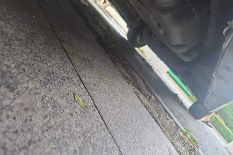 Used SAIC MAXUS G10 2019 PLUS 1.9T Manual Elite Edition Diesel China V Standard Chassis Rear Right