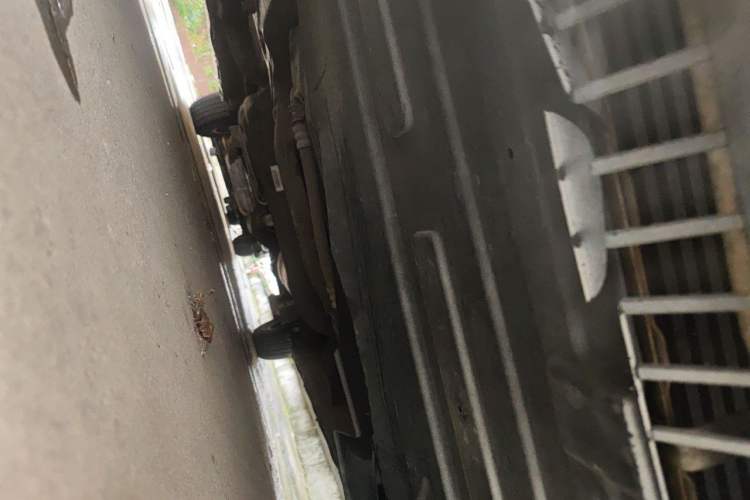 Used SAIC MAXUS G10 2019 PLUS 2.0T Manual Smart Edition China V Standard Chassis Front