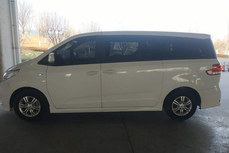 Used SAIC MAXUS G10 2019 Facelift PLUS 2.0T Automatic Elite Edition China VI Left Side