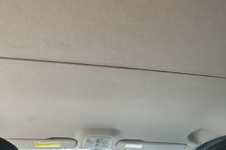 Used SAIC MAXUS G10  Headliner